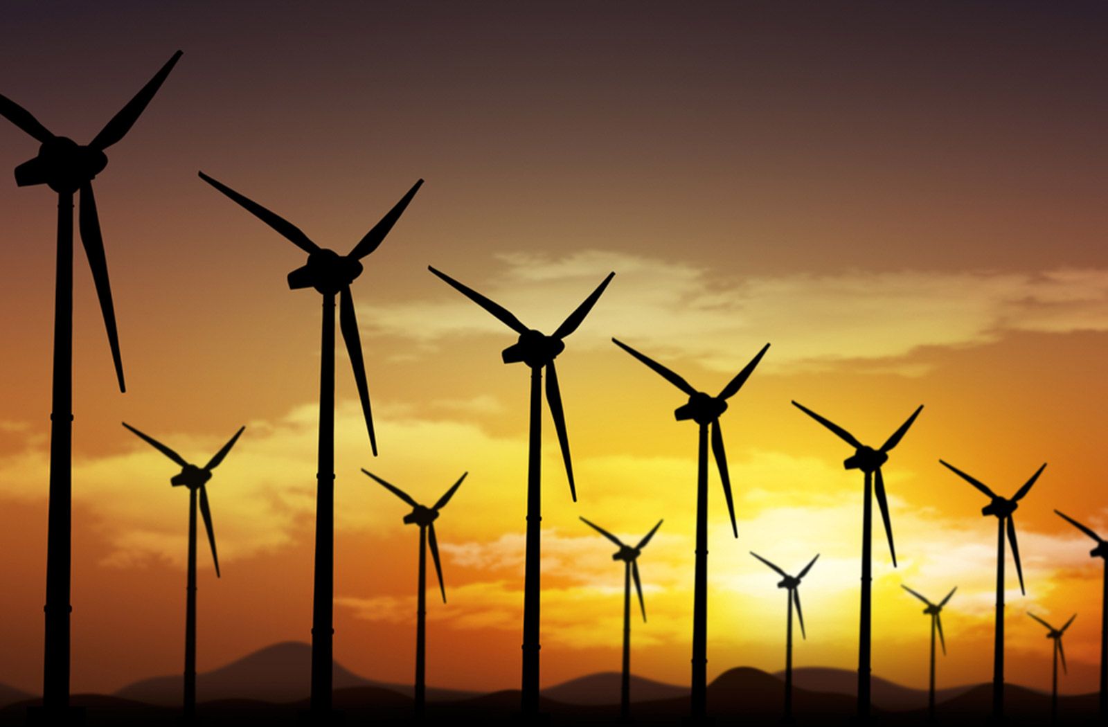 Imagem de parque eólico durante o por do sol