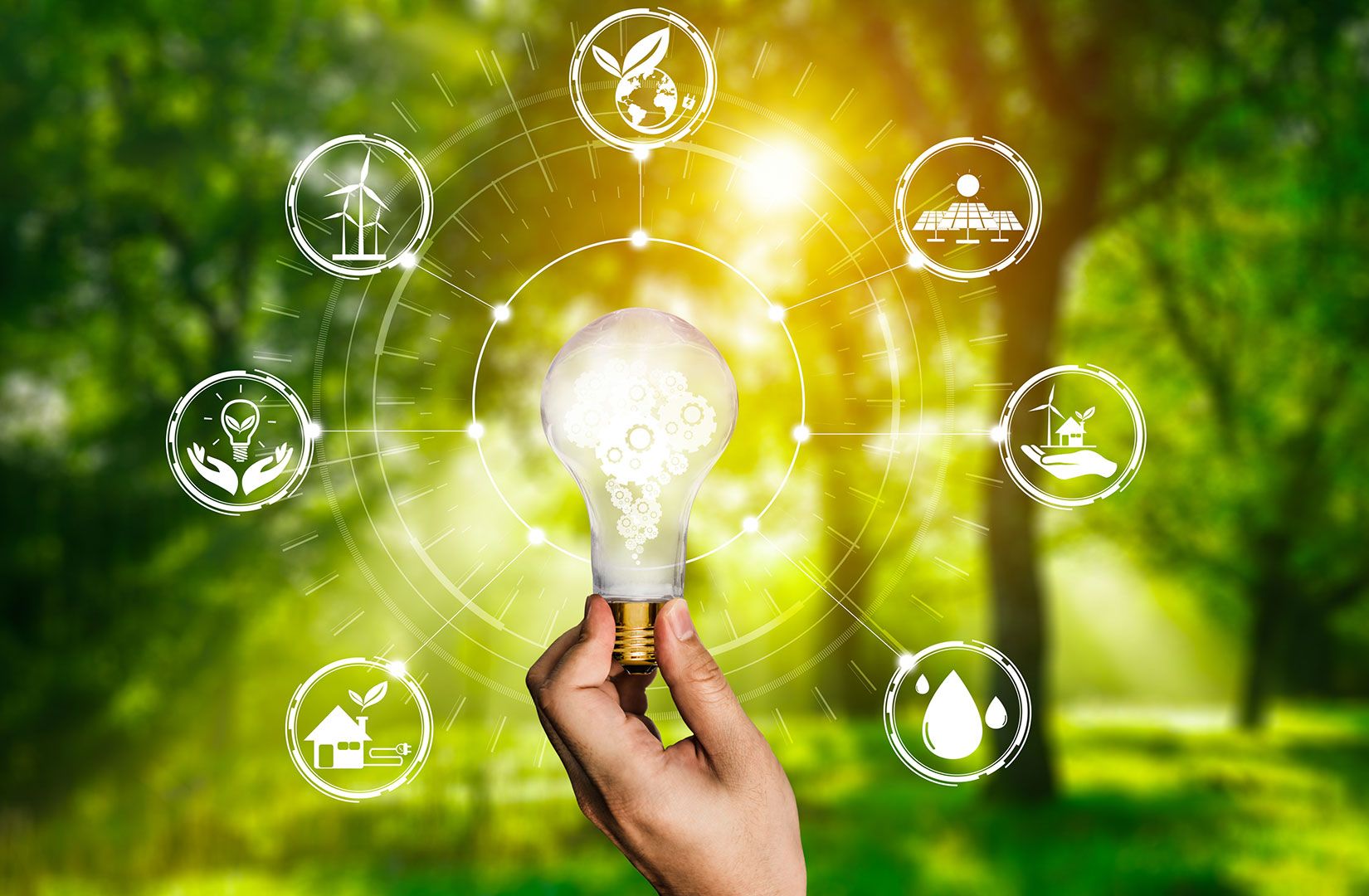 G20 energias renováveis